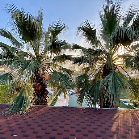 Villa Palmera Sapanca Serdivan