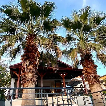 Palmera Sapanca Villa