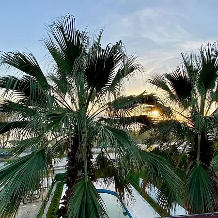 Palmera Sapanca Serdivan